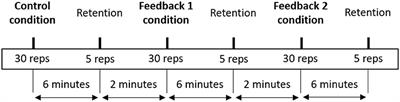 Deliberate Practice and Motor Learning Principles to Underpin the Design of Training Interventions for Improving Lifting Movement in the Occupational Sector: A Perspective and a Pilot Study on the Role of Augmented Feedback